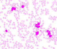 細(xì)胞實驗必備技能——細(xì)胞計數(shù)