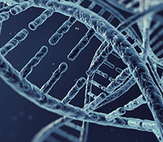 GFP/RFP轉(zhuǎn)染實(shí)驗(yàn)利器！