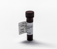 細(xì)胞計(jì)數(shù)用臺(tái)盼藍(lán)染料or AOPI熒光染料？