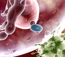 免疫療法，你值得關注！