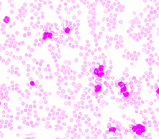 新型號(hào)上市 | JSY系列細(xì)胞計(jì)數(shù)儀迎來(lái)新伙伴！