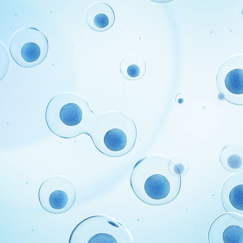 賦能生命科學(xué)研究：博大博聚細胞分析產(chǎn)品全系列解決方案