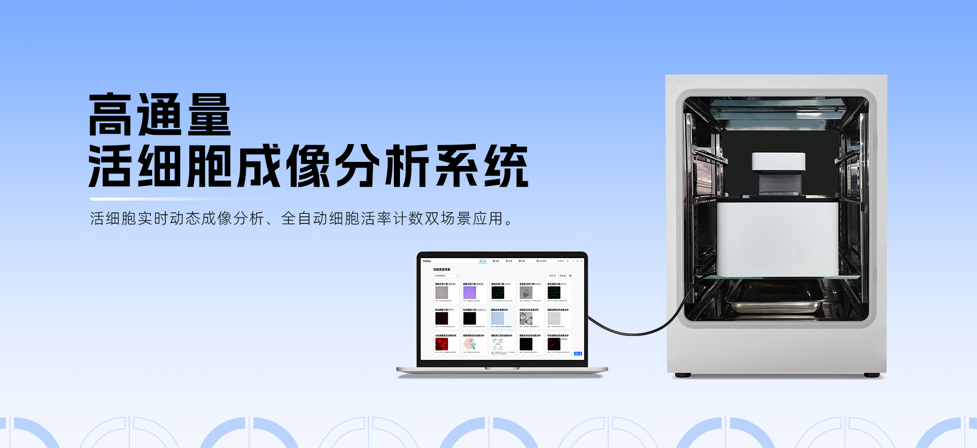 Live-Counter系列活細(xì)胞成像分析儀器：從基礎(chǔ)實(shí)驗(yàn)到高通量攻堅(jiān)，解鎖科研高效新范式